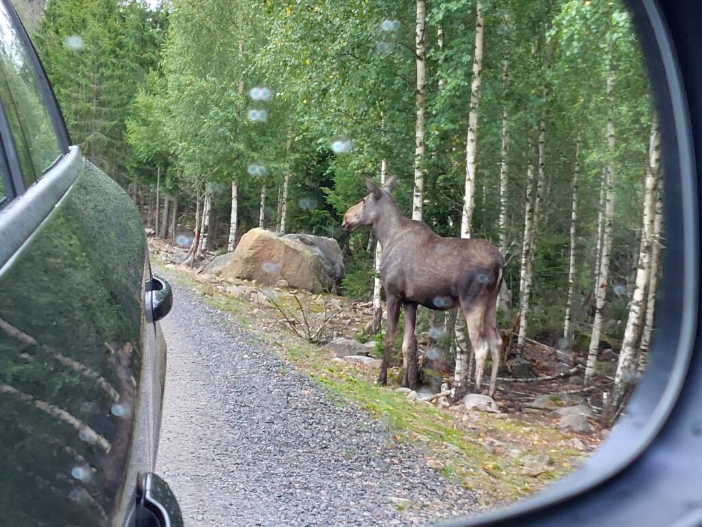 Småland met kinderen