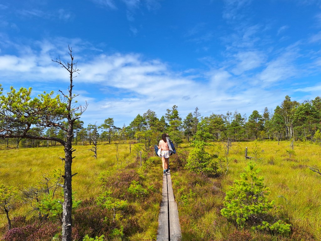 Småland met kinderen