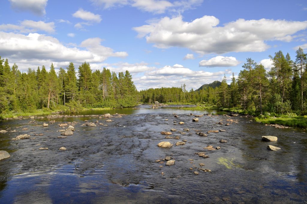 Zweden